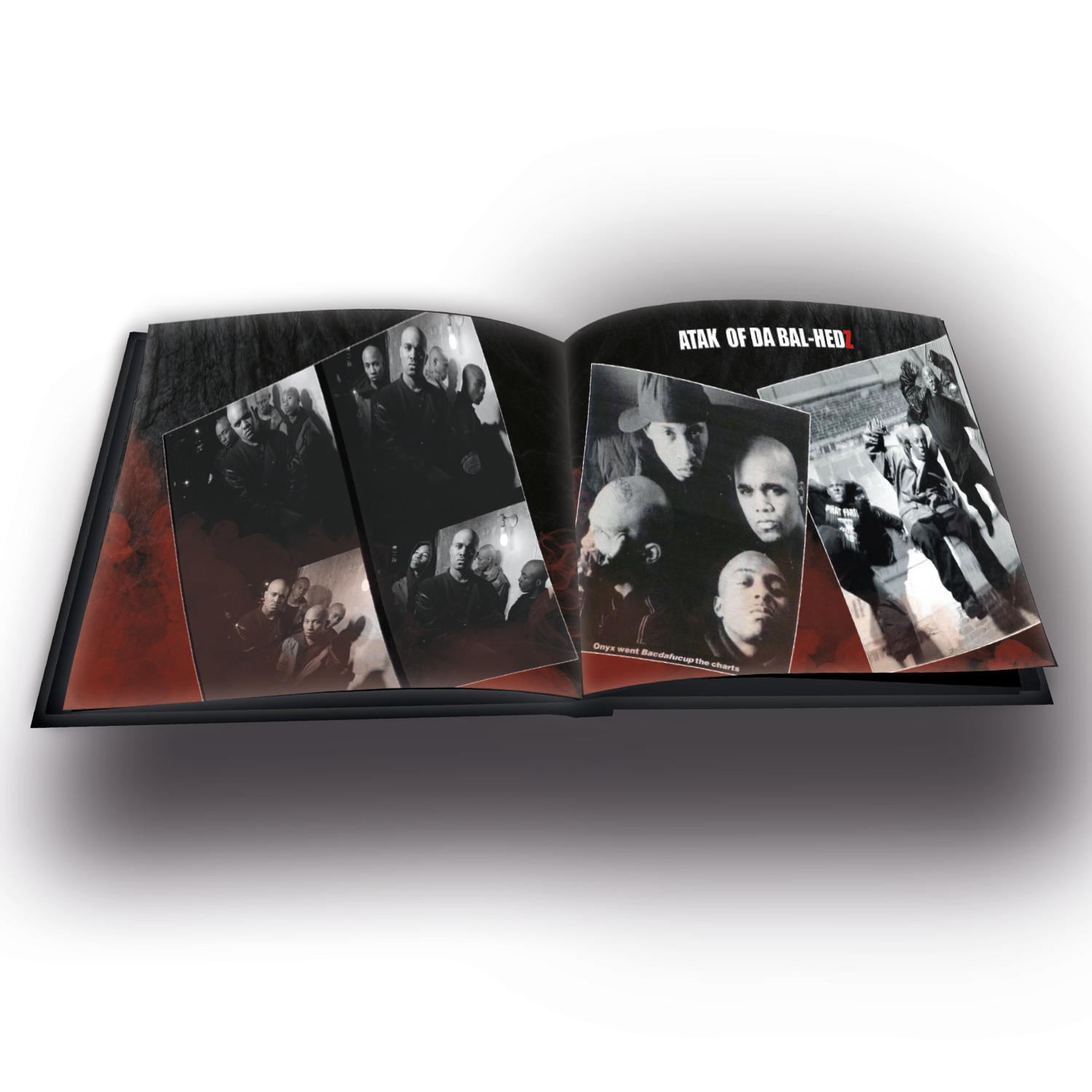 book bdfu 2