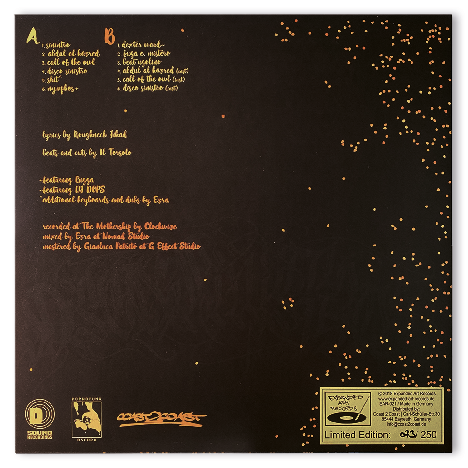 Roughneck Jihad- Disco Sinistro Vinyl tracklist goongear