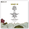 Declaime What If Vinyl tracklist goonsgear